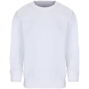 Свитшот детский Columbia Kids, белый, на рост 96-104