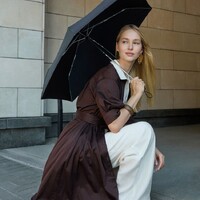 Фото товара Зонт складной Nicety, черный