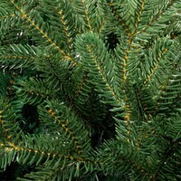 Фото товара Искусственная ель Ms.Tree, 210 см