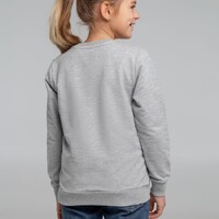 Фото товара Свитшот Toima Kids 2.0, серый меланж, 6 лет