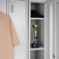 Фото товара Кубок Awardee, малый, синий