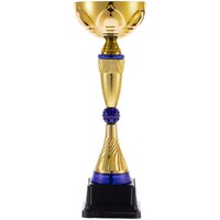 Фото товара Кубок Awardee, средний, синий