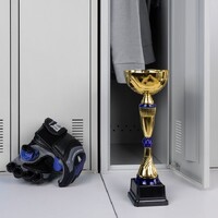 Фото товара Кубок Awardee, средний, синий