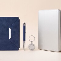 Фото товара Коробка Pragmax L, прямоугольная, серебристая